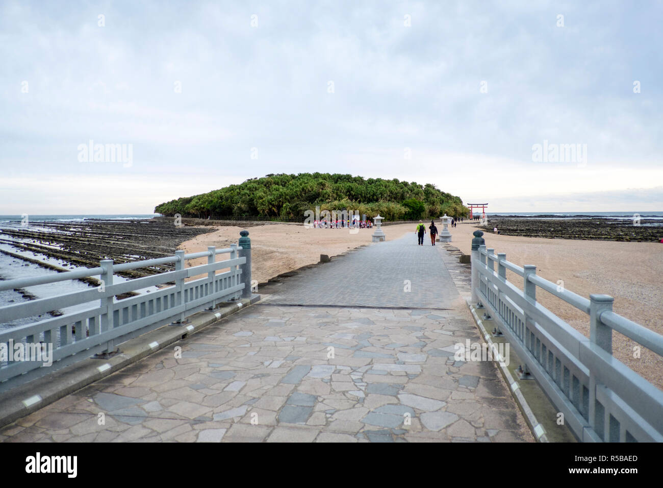 Aoshima island (Miyazaki Prefecture) - Let's travel around Japan!