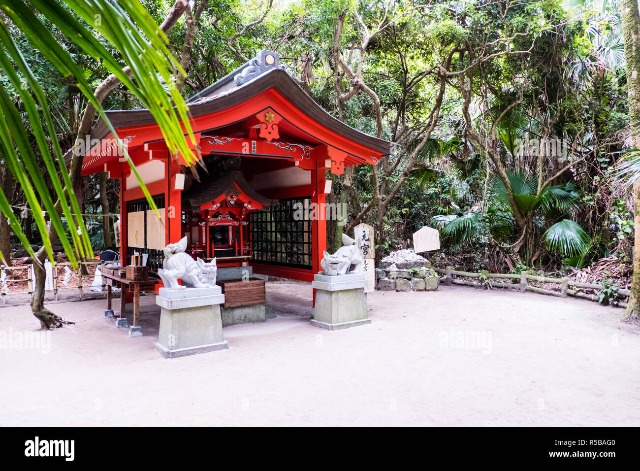 Aoshima island (Miyazaki Prefecture) - Let's travel around Japan!