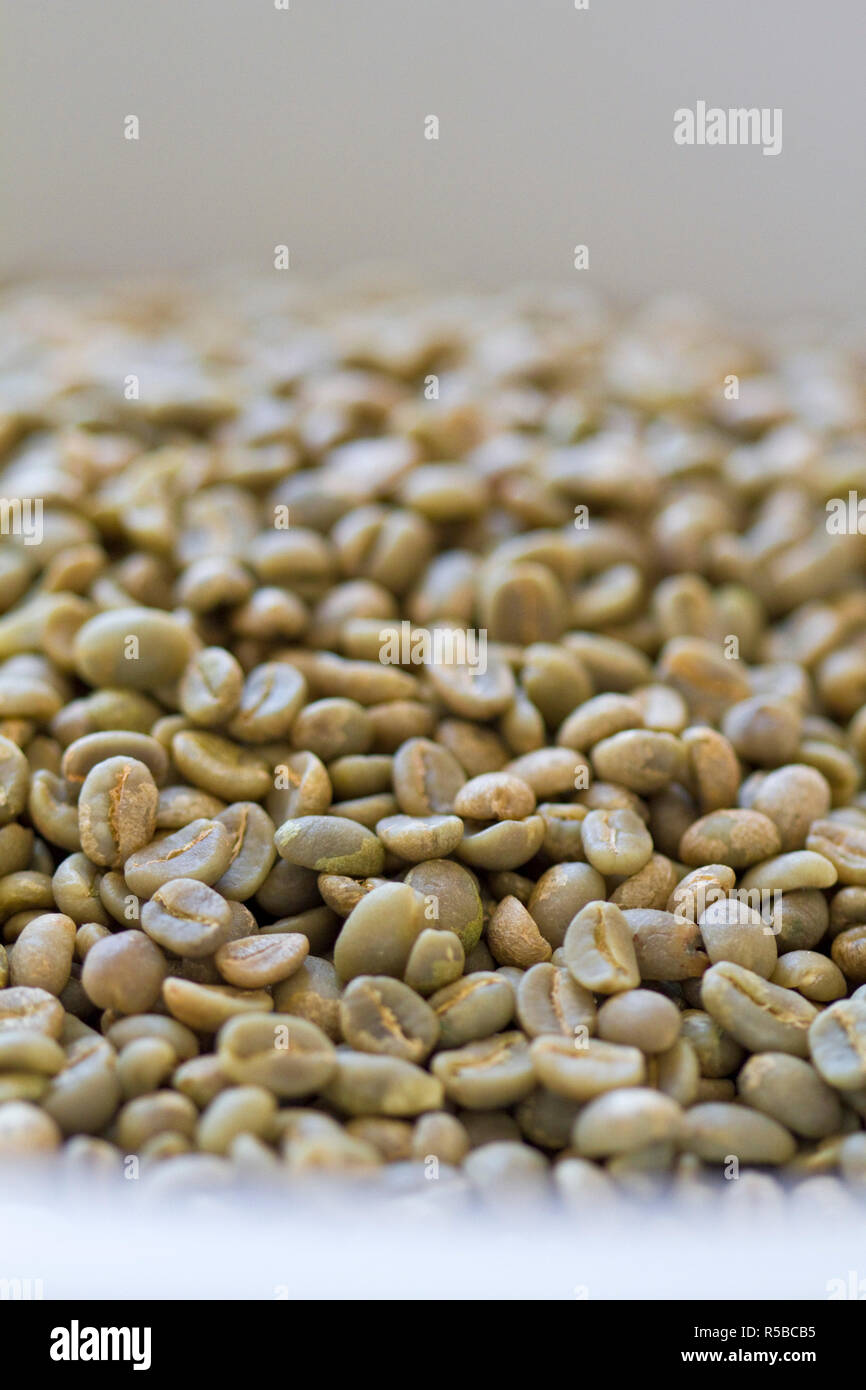 Colombia, Caldas, Manizales, Chinchina, Hacienda de Guayabal, Coffee beans in sack ready for export Stock Photo