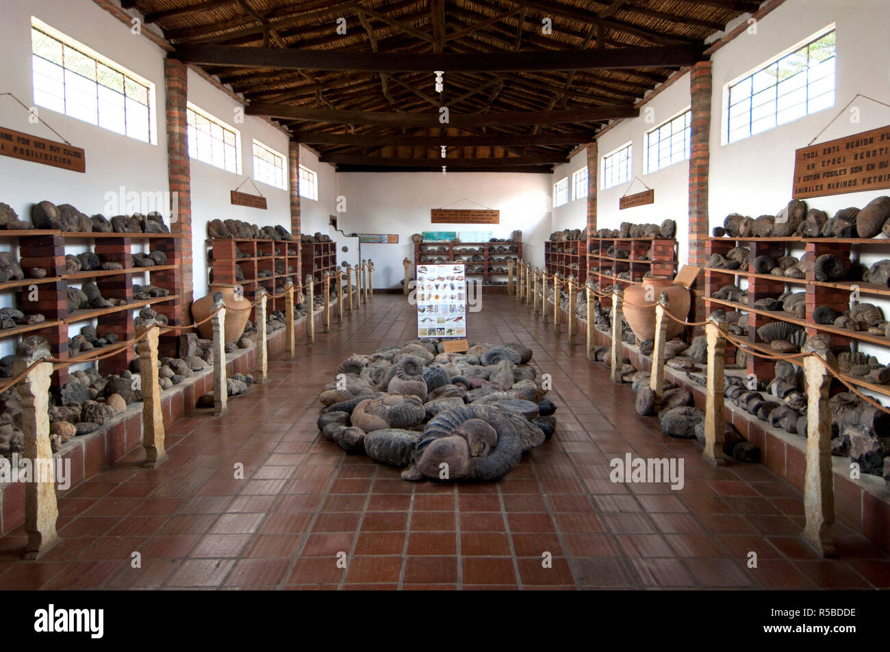 Colombia, Guane, Santander Province, Museum of Paleontology & Archaeology, Collection Of  Marine Fossils Stock Photo