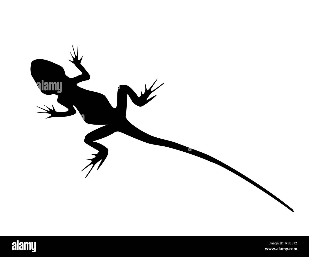 Lizard with long tail wild animal black silhouette isolated on white background. Simple outline drawn reptile, logo icon illustration Stock Photo