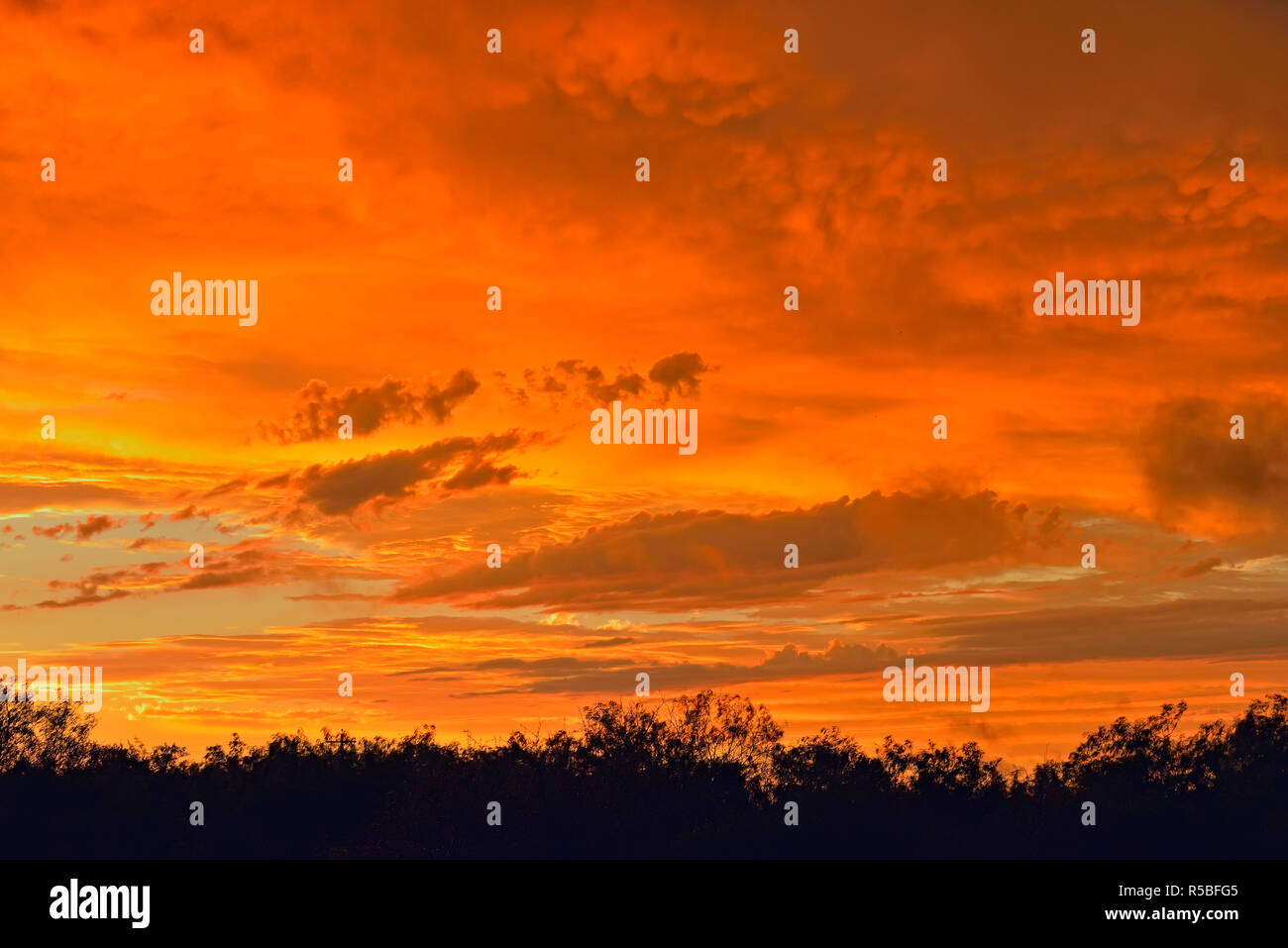 Clearing skies at dusk, after a thunderstorm, near Rio Grande City