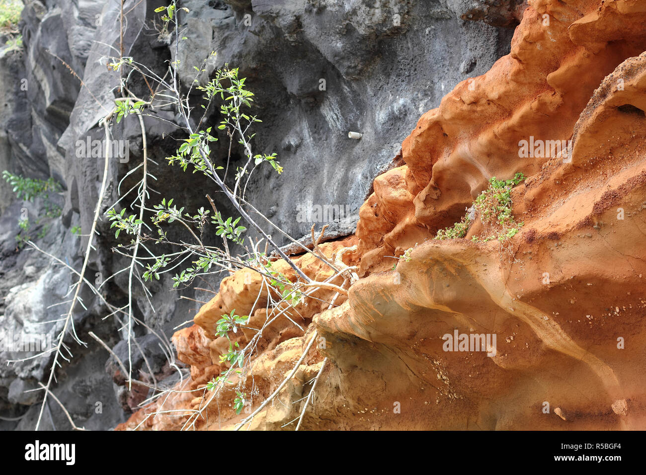 Rock layers of lava and red tuff, overgrown with pioneer plants Stock Photo
