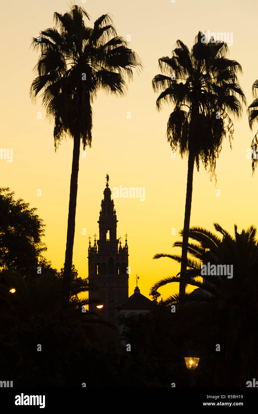 Spain, Andalucia Region, Seville Province, Seville, Giralda tower from the Rio Guadalquivir river Stock Photo