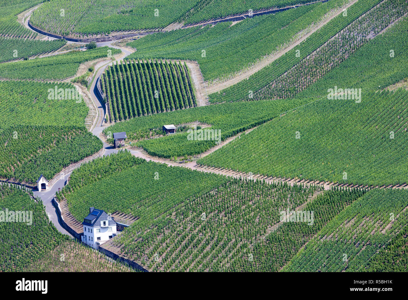 Bernkastel, Germany.  Vineyards on Hillside above the Town. Stock Photo