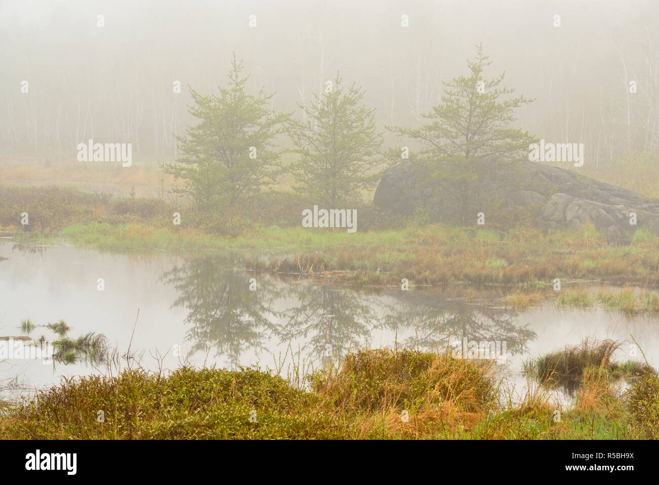 beaver pond in fog, Greater Sudbury, Ontario, Canada Stock Photo