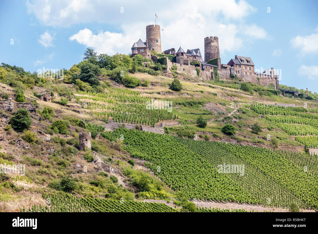 Alken, Germany.  Thurant Castle (Burg Thurant), above the Moselle.  Vineyards on Steep Hillsides. Stock Photo