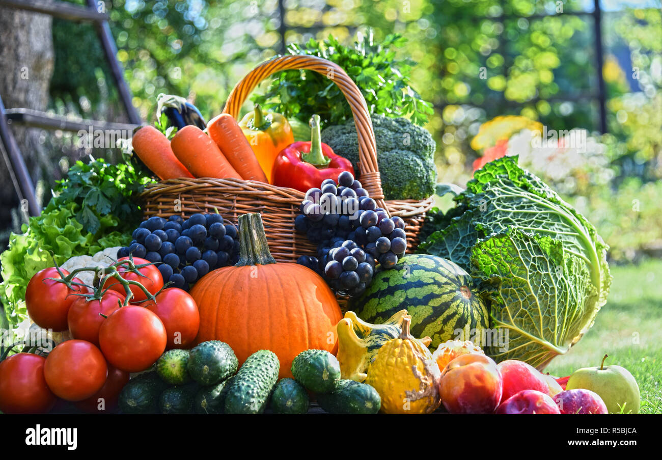 Variety of fresh organic vegetables and fruits in the garden Stock ...