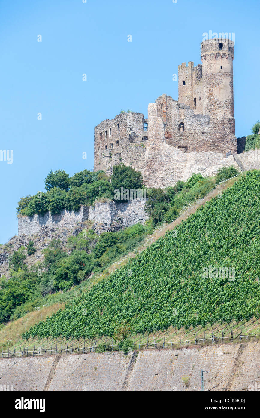 Rhine River, Germany.  Ehrenfels Castle Ruins, 13th Century. Stock Photo