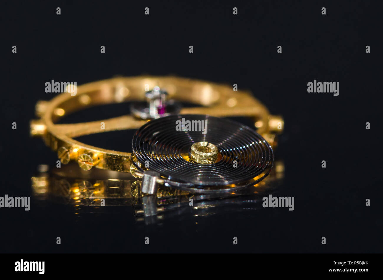 Watch Parts Balance Wheel, Hairspring and Ruby Impulse Roller Jewel