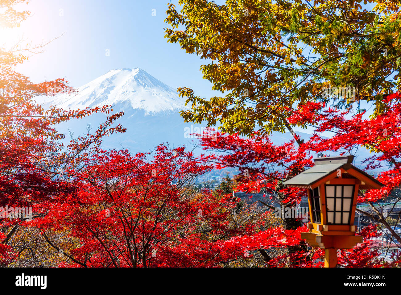 Mount Fuji and maple tree Stock Photo - Alamy