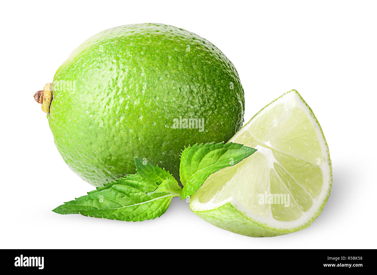 Relative Of Lime And Mint