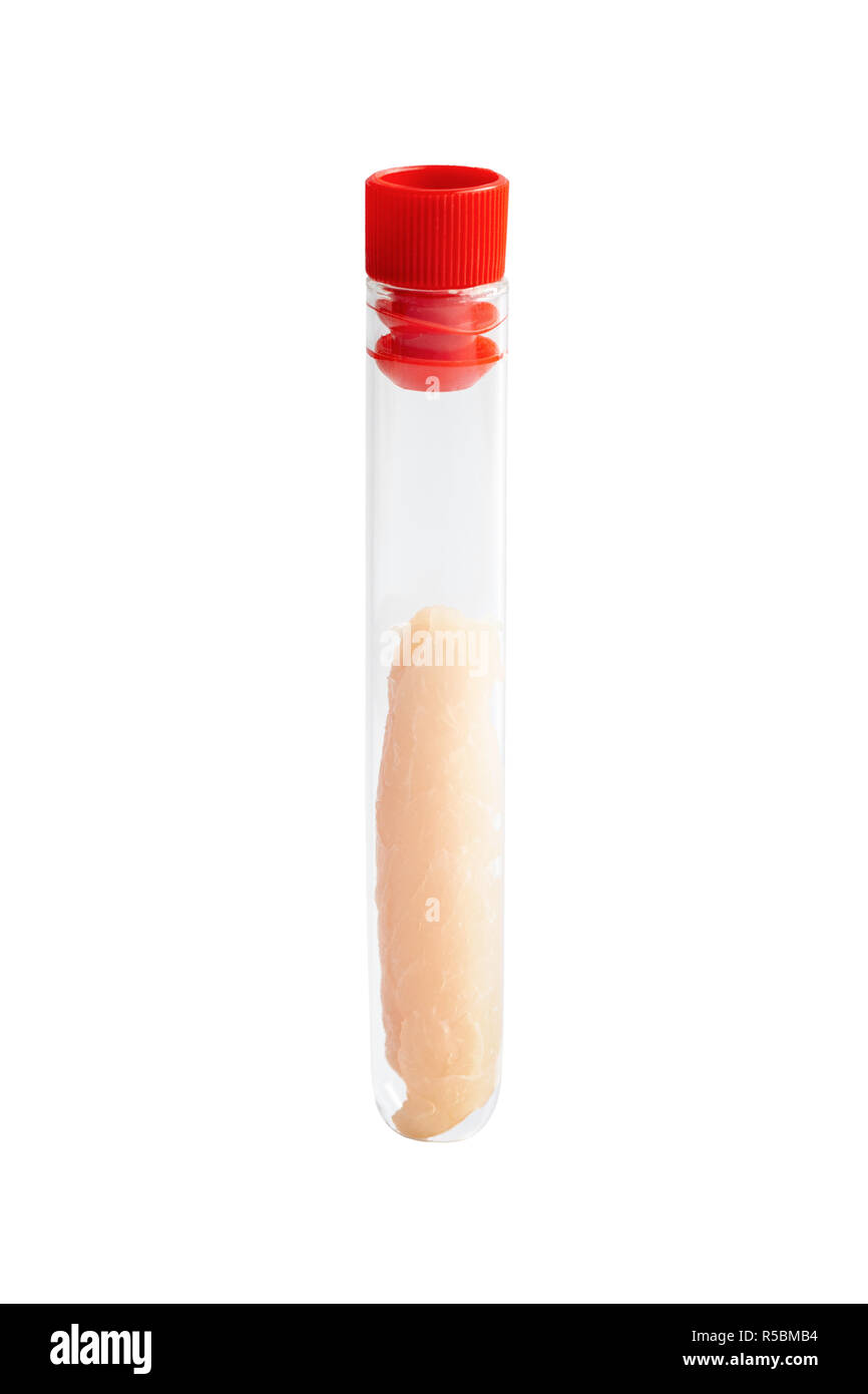 Meat in vitro in a test tube. Stock Photo