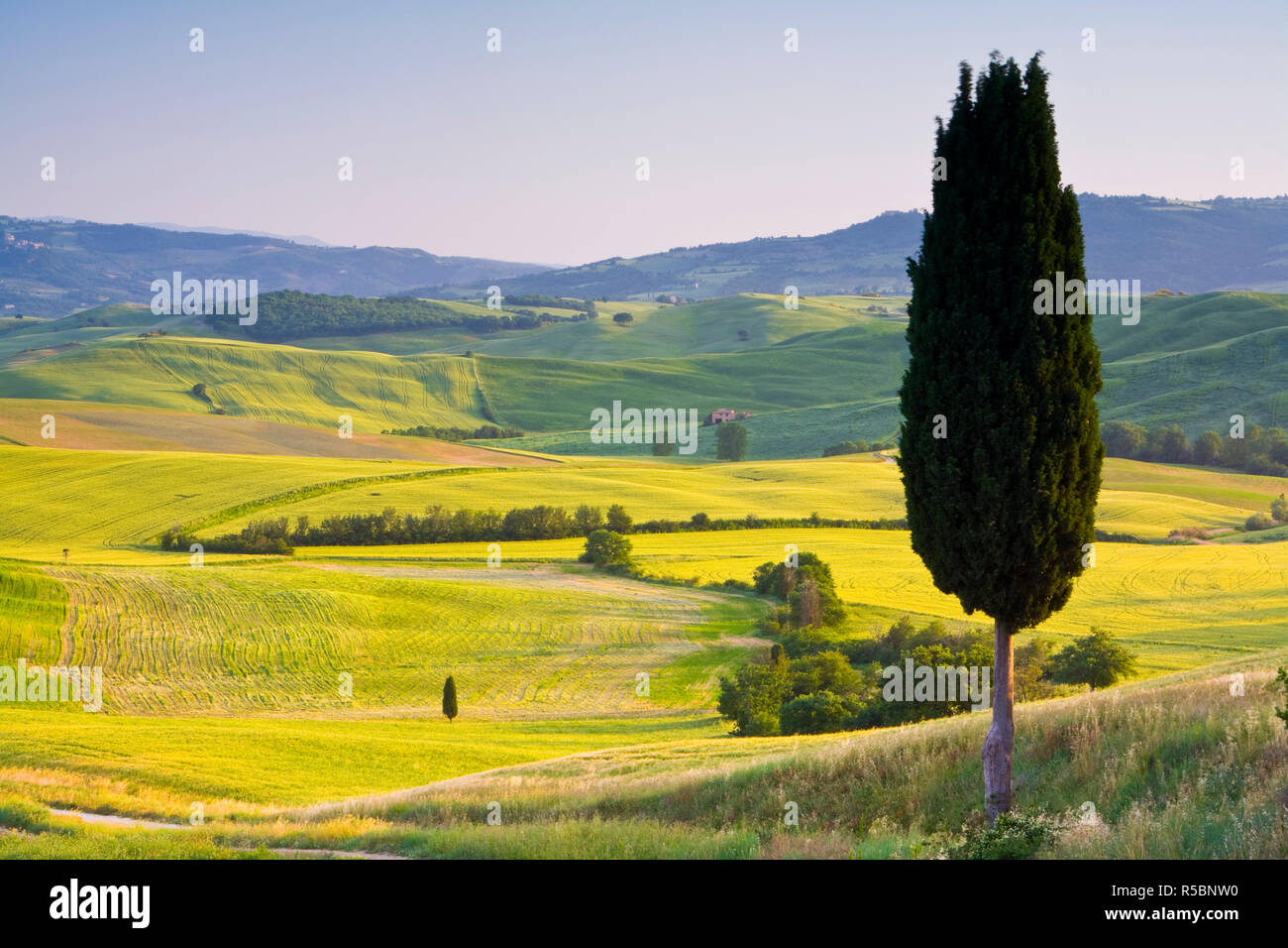 Landscale near Pienza, Val d' Orcia, Tuscany, Italy Stock Photo