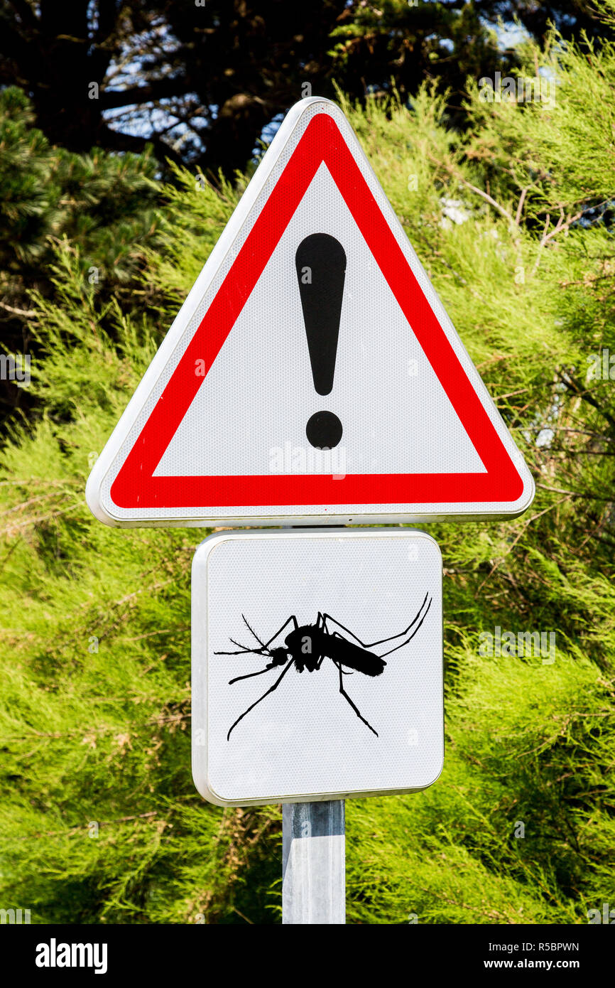 Warning sign, conceptual image on the risks of mosquito bites. Stock Photo