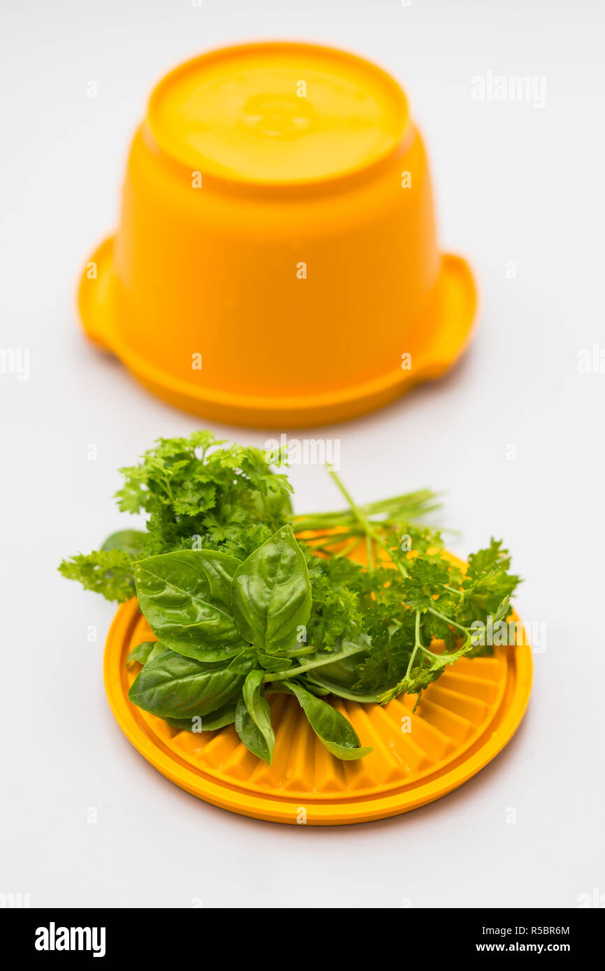 Basil leaves and parsley Stock Photo Alamy