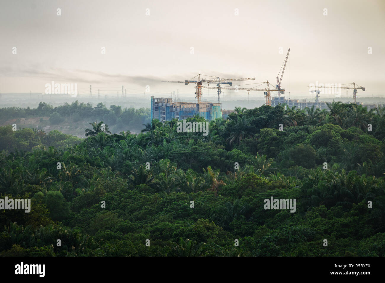 Tropical forest destruction - construction of skyscrapers in forest zone. Concept expansion of cities, increasing carbon dioxide in atmosphere. Stock Photo