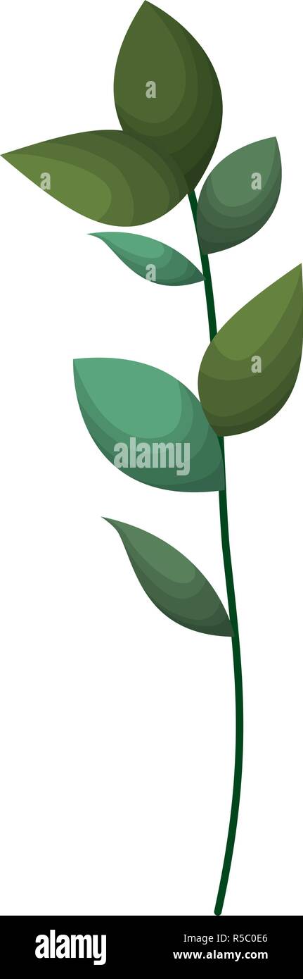 branch with leafs isolated icon Stock Vector Image & Art - Alamy