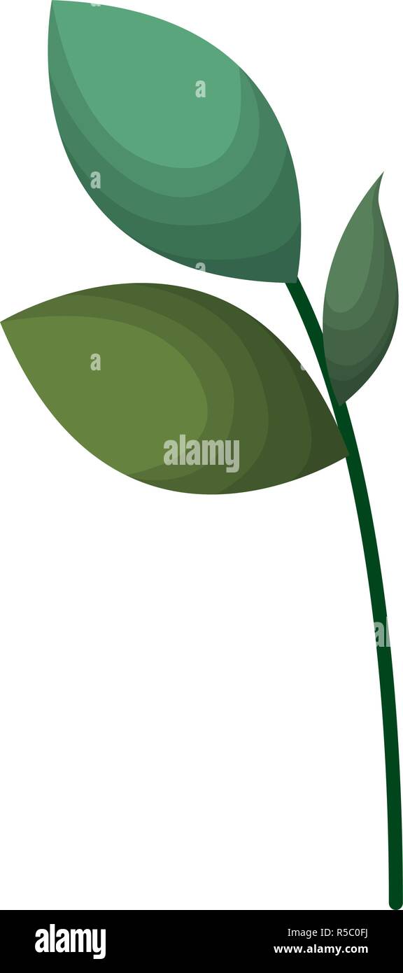 branch with leafs isolated icon Stock Vector Image & Art - Alamy