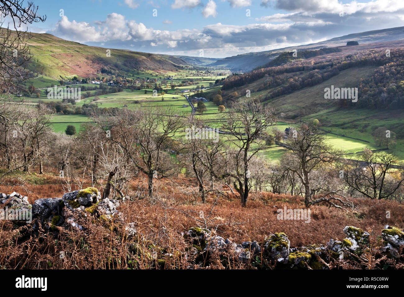 Upper Wharfedale, Yorkshire Dales National Park. The village of Buckden can be seen centre. Stock Photo