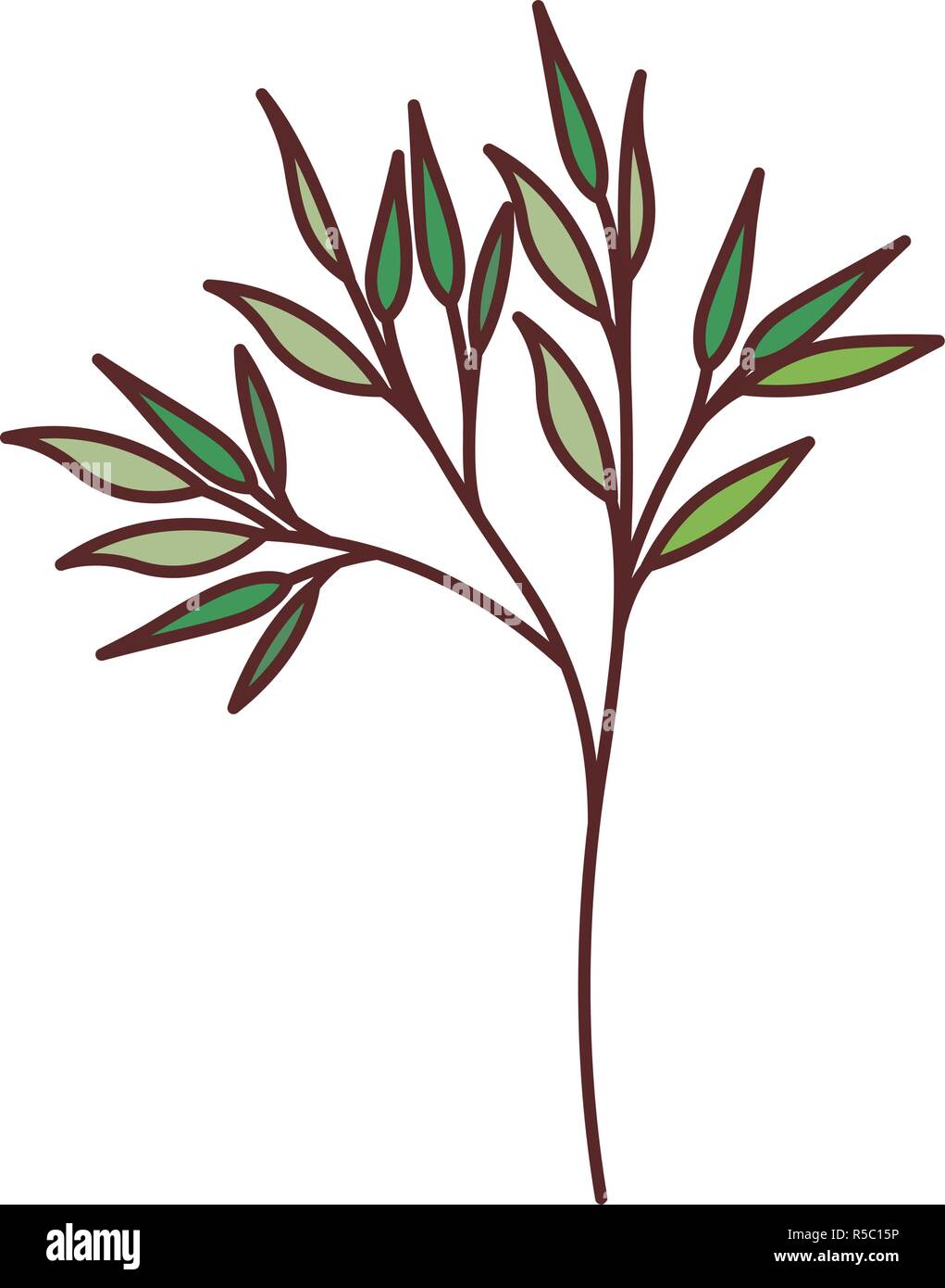 branch with leafs isolated icon Stock Vector Image & Art - Alamy
