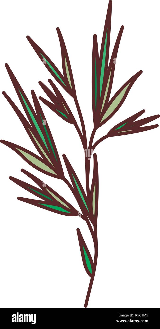 branch with leafs isolated icon Stock Vector Image & Art - Alamy