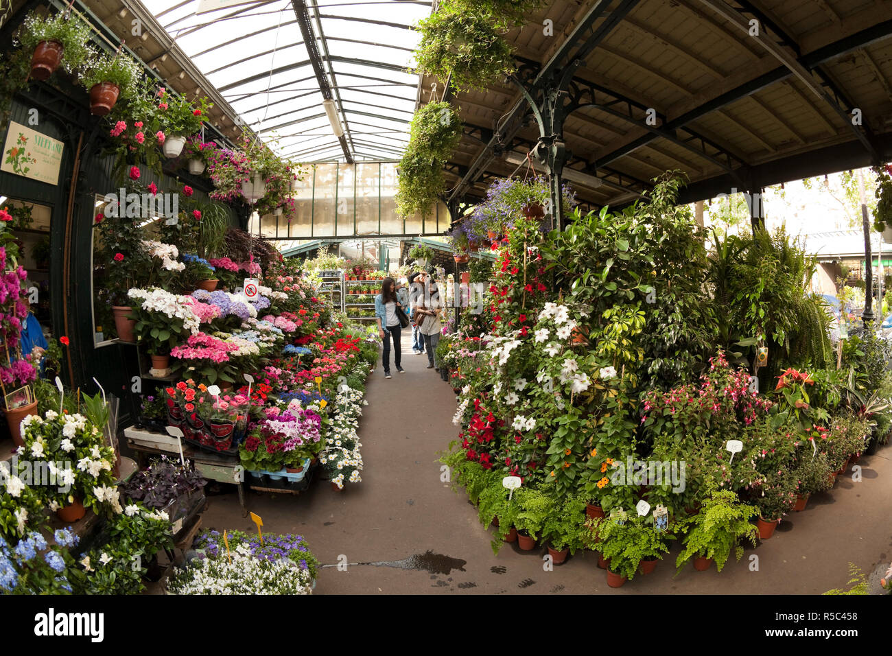 Flower market paris ile de la cité hires stock photography and images