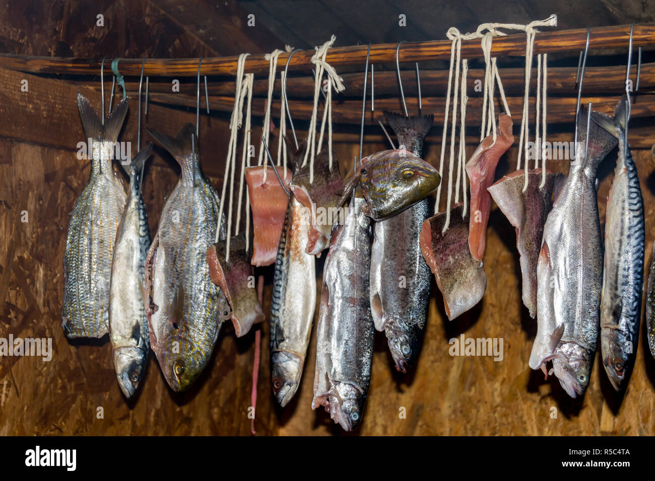 Fresh Fish In Smokehouse Box. Smoked Mackerel, Close Up Smoking Process