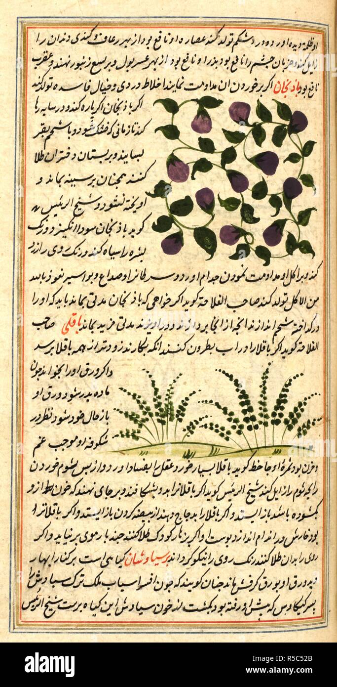 Various Plants And Accompanying Text Aja Ib Almakhlukat Wa Ghara Ib Almaujudat This Is An Undated Translation From Arabic Into Persian Of The First Part Of Aja Ib Almakhlukat Wa Ghara Ib Almaujudat By The Thirteenth Century Sage