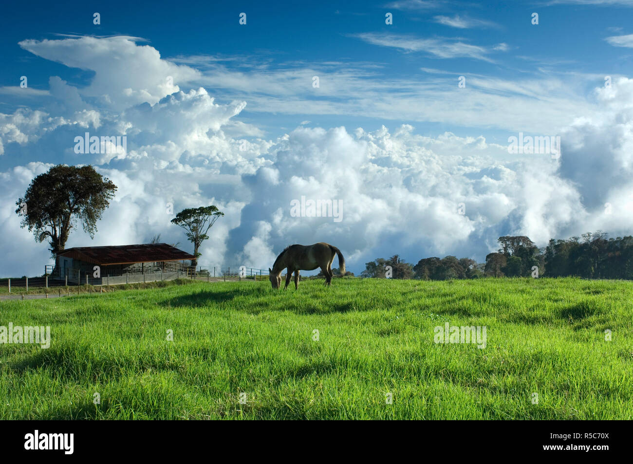 Costa Rica, Turrialba Volcano National Park, Tropical Cloud Forest, Towering Cumulus Clouds, Farm Stock Photo