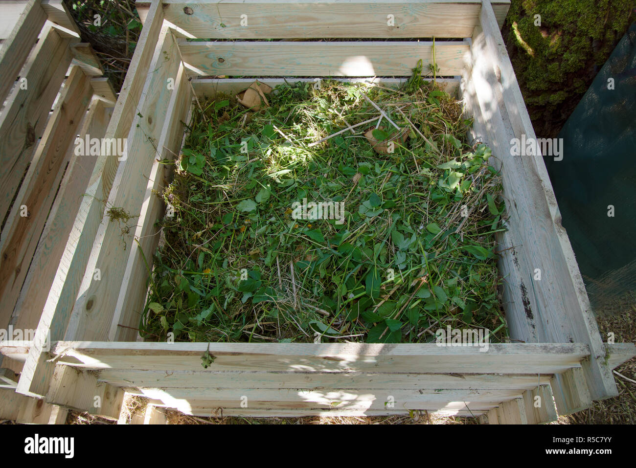 compost bin of wood filled with weeds from the garden Stock Photo Alamy