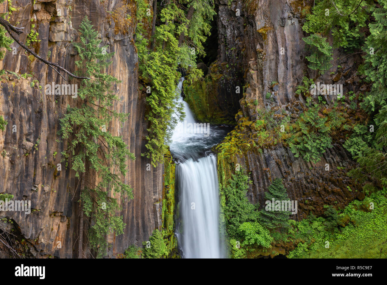 Toketee Falls, North Umpqua River, Oregon, USA Stock Photo