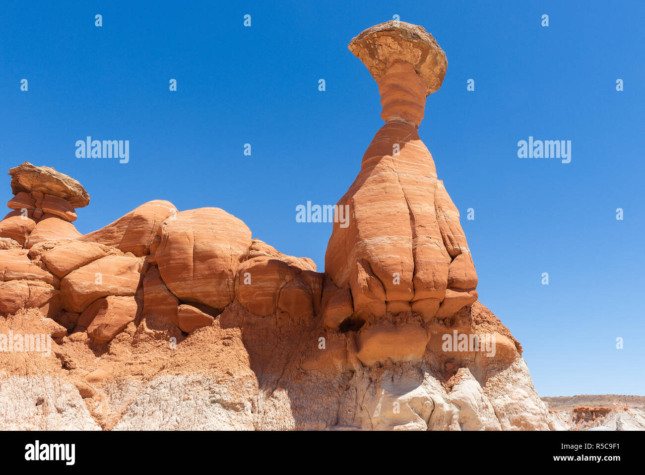 Toadstool Hoodoos in Grand Staircase-Escalante National Monument, Utah, USA Stock Photo