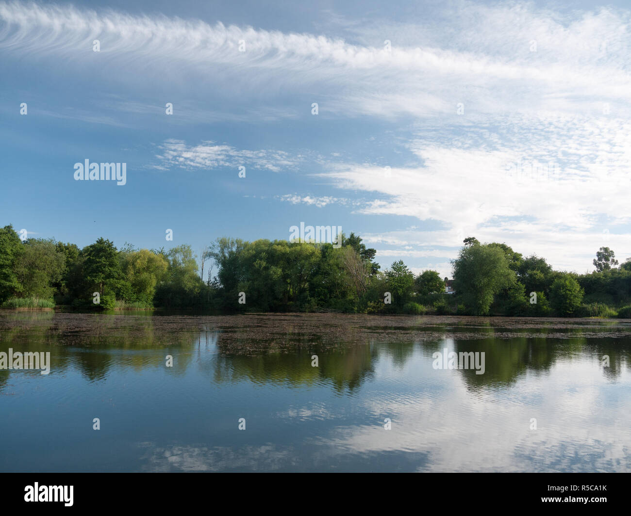 beautiful lake scene on a sunny day in uk Stock Photo - Alamy