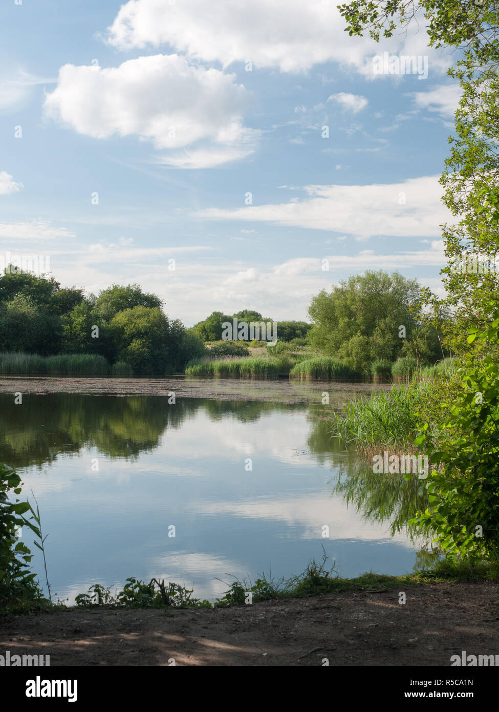 beautiful lake scene on a sunny day in uk Stock Photo - Alamy