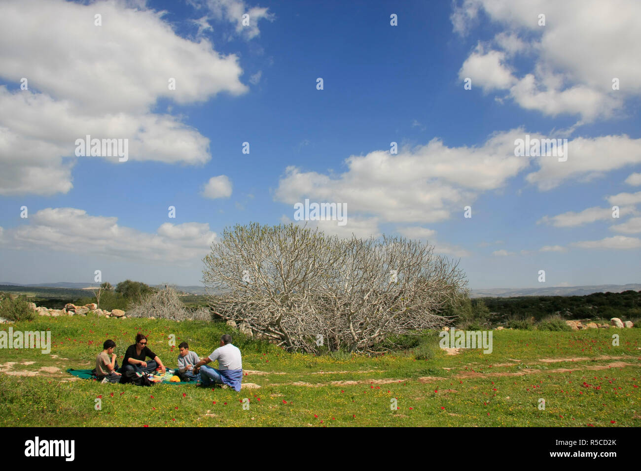 Israel, Shephelah, a picnic in Park Adulam Stock Photo