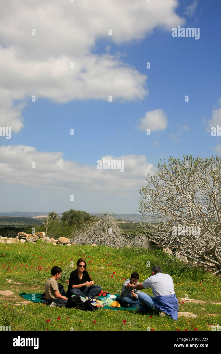 Israel, Shephelah, a picnic in Park Adulam Stock Photo