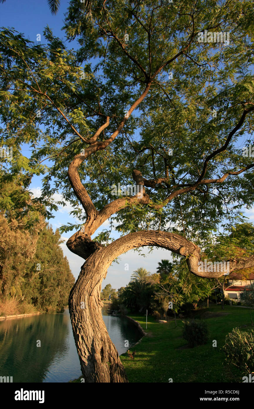 Israel, Beth Shean valley. Amal Stream in kibbutz Nir David Stock Photo