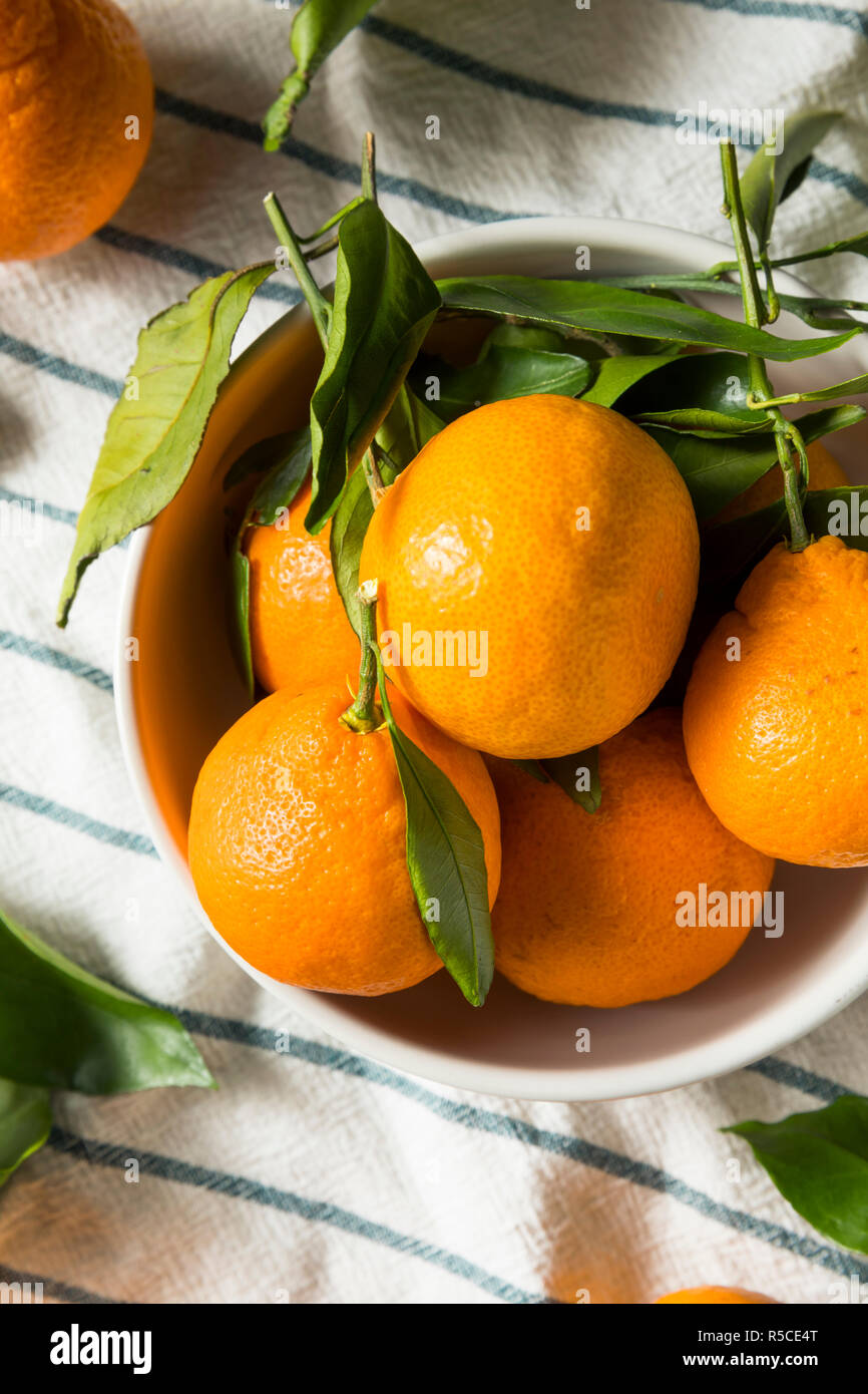 Raw Organic Mandarin Oranges with Green Leaves Stock Photo Alamy
