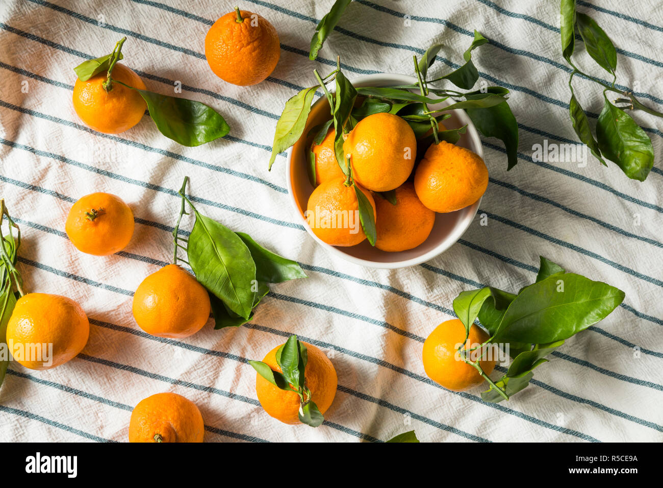 Raw Organic Mandarin Oranges with Green Leaves Stock Photo Alamy