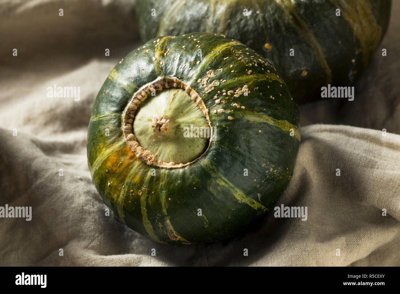 Raw Organic Buttercup Squash Ready to Cut Stock Photo - Alamy