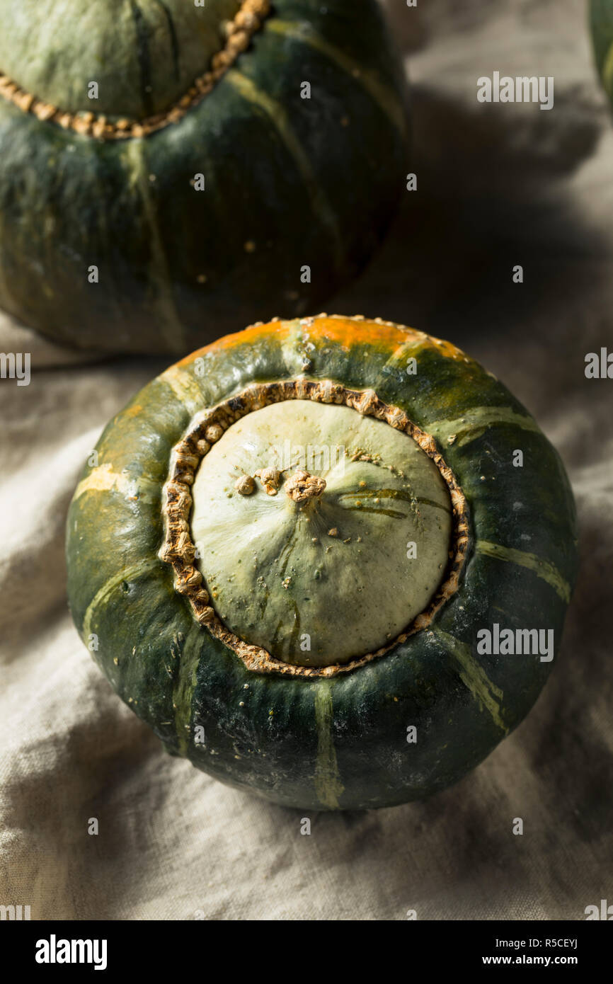 Raw Organic Buttercup Squash Ready to Cut Stock Photo Alamy