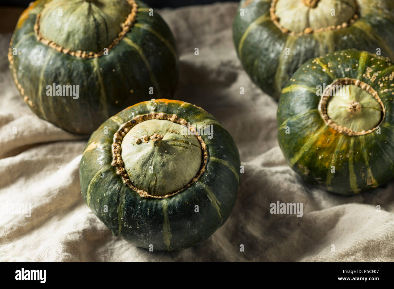 Raw Organic Buttercup Squash Ready to Cut Stock Photo Alamy