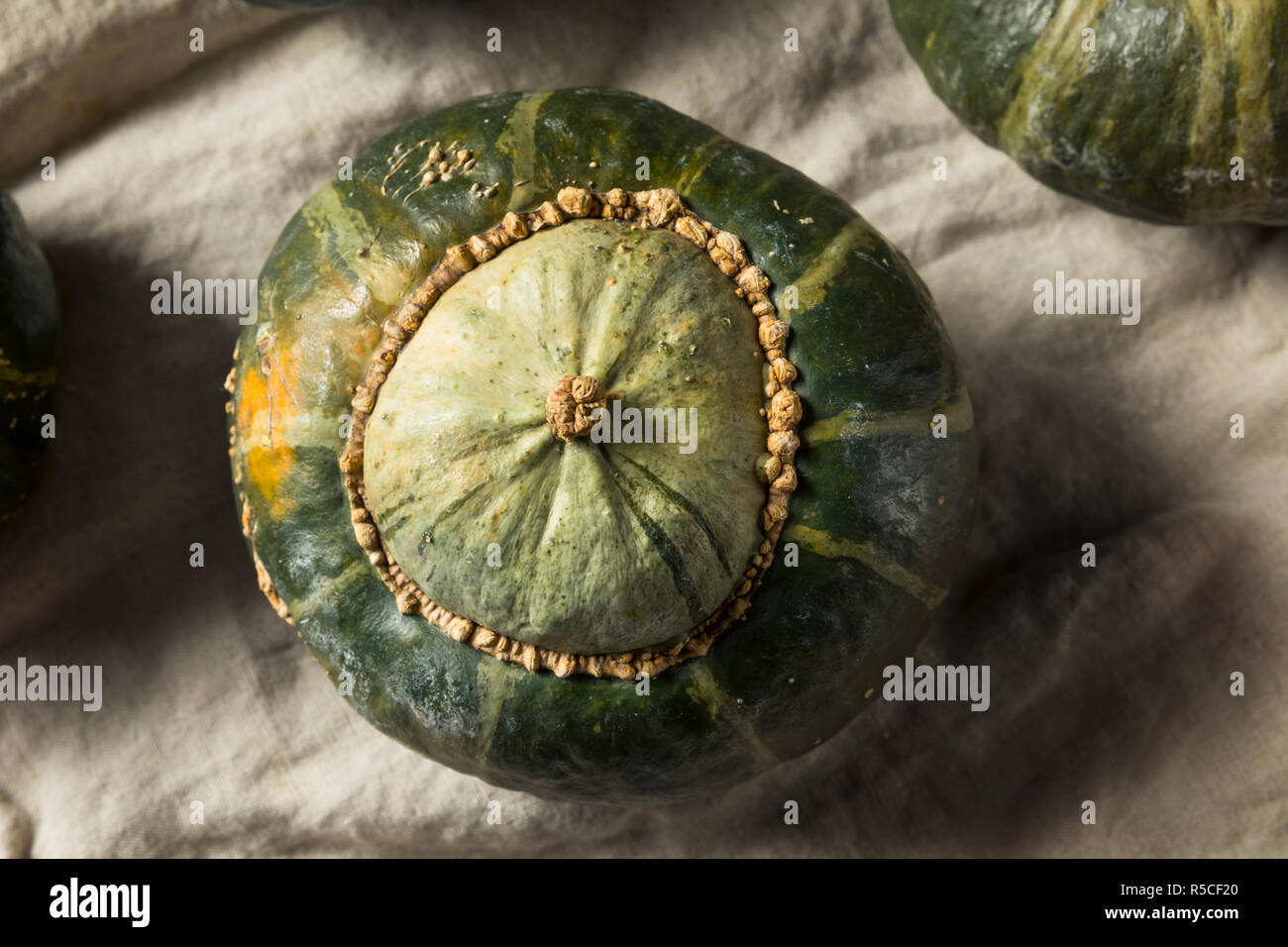 Raw Organic Buttercup Squash Ready to Cut Stock Photo Alamy