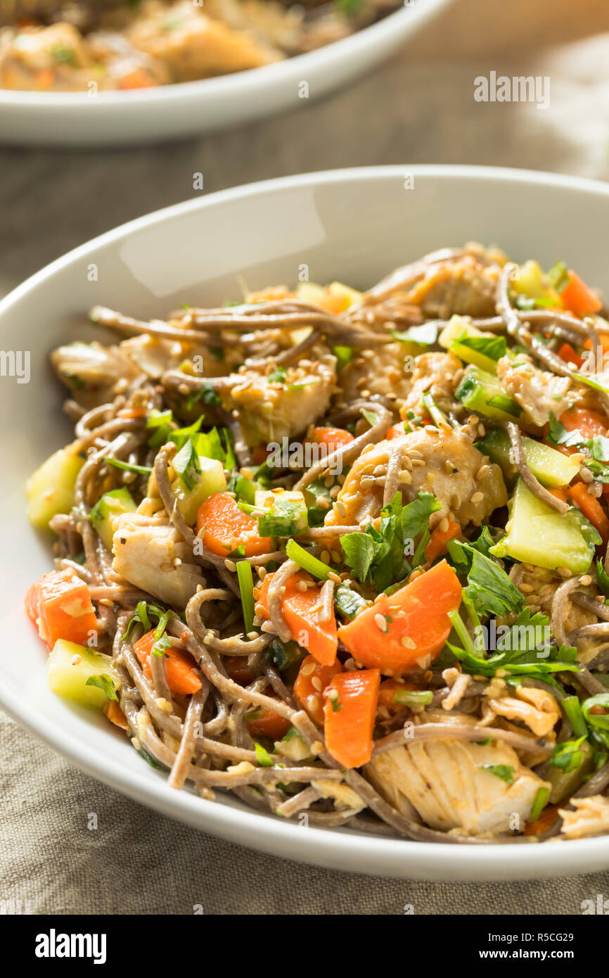 Healthy Homemade Soba Noodle Bowl with Sesame and Chicken Stock Photo