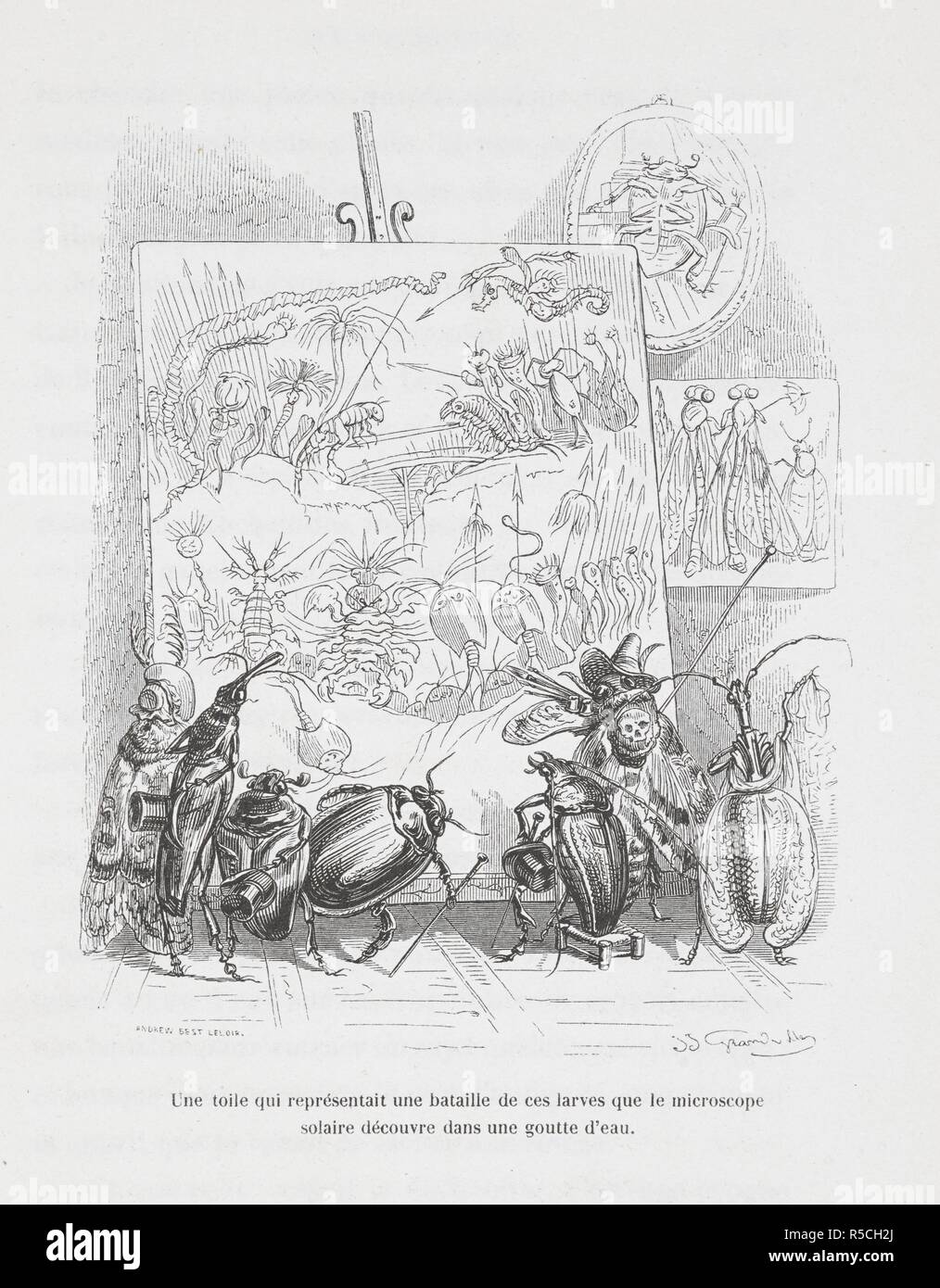 Une toile qui representait une bataille de ces larves que le microscope solaire decouvre dans une goutte d'eau. Anthropomorphic image of insects looking at a sketch. Peines de cÅ“ur d'une chatte anglaise.-Guide-aÌ‚ne aÌ€ l'usage des animaux qui veulent parvenir aux honneurs.-Voyage d'un lion d'Afrique aÌ€ Paris.-Les Amours de deux beÌ‚tes. In: Stahl (P. J.) pseud. SceÌ€nes de la vie priveÌe des animaux ... EÌtudes de mÅ“urs contemporaines publieÌes sous la direction de M. P. J. Stahl, avec la collaboration de Messieurs de Balzac, L. Baude, etc. 1842. 1842. Source: 1457.k.1. plate opposite p Stock Photo