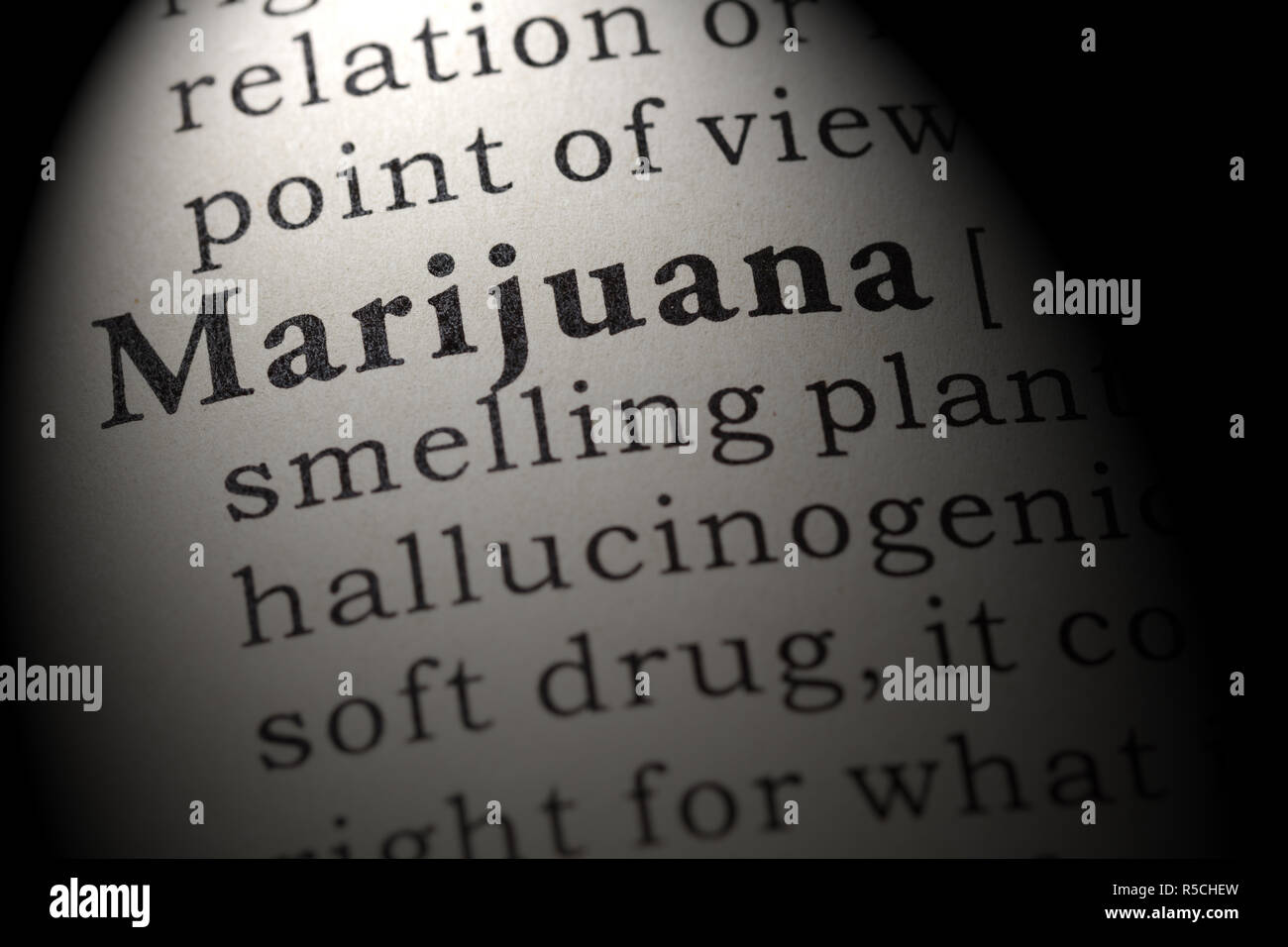 Fake Dictionary, Dictionary definition of the word marijuana. including