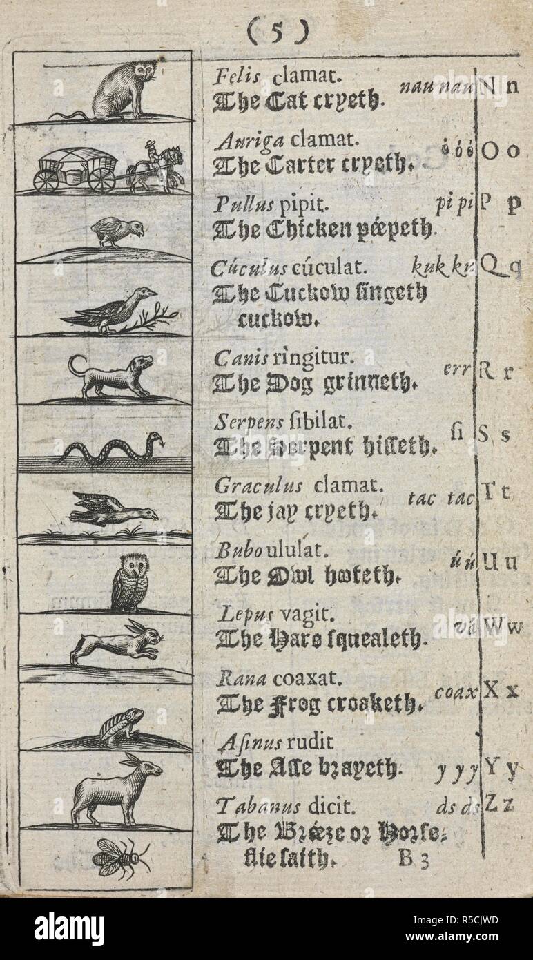 The second part of the alphabet (N-Z) with illustrations. J. A. Commenii Orbis sensualium pictus: hoc est, Omnium fundamentalium in mundo rerum & in vitaÌ‚ actionum, pictura & nomenclatura ... A work newly written by the author in Latine and High Dutch, ... & translated into English by Charles Hoole. Lat. and Engl. London, 1659. Source: E.2116.(1.), f.5. Stock Photo