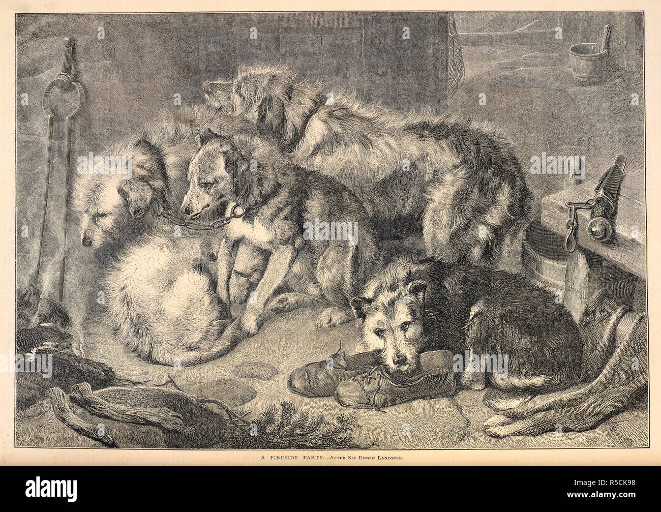 'A fireside party after Sir Edwin Landseer'. Some dogs together by a fireplace. Illustrated Sporting and Dramatic News. 18/12/1876. Source: Illustrated Sporting and Dramatic News. 18/12/1876 p.284. Stock Photo
