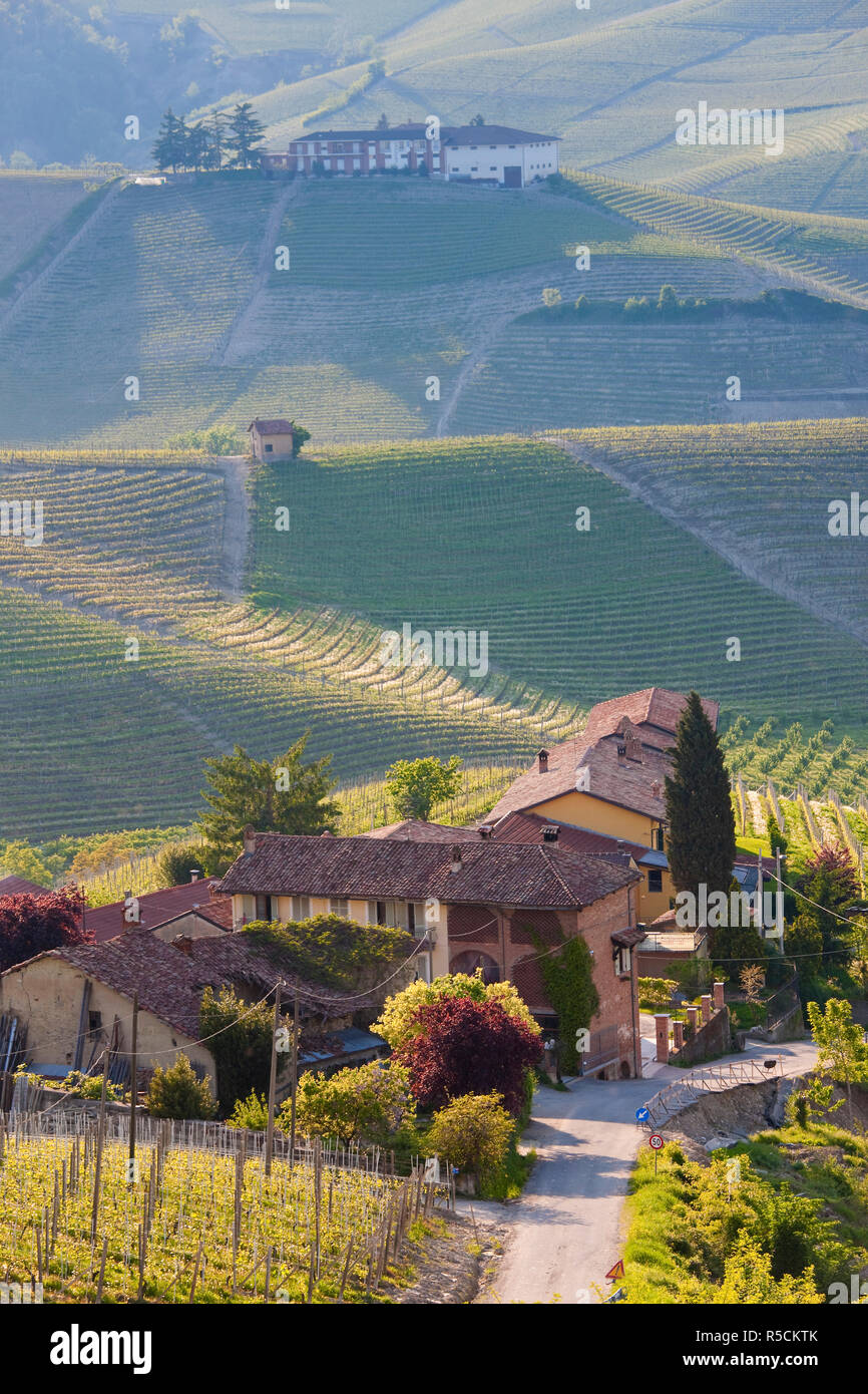 Hillsides covered with vineyards, nr Castiglione Falletto, Piedmont (or Piemont or Piedmonte), Italy Stock Photo